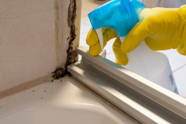 Best Crawl Space Mold Removal  in Crookston, MN