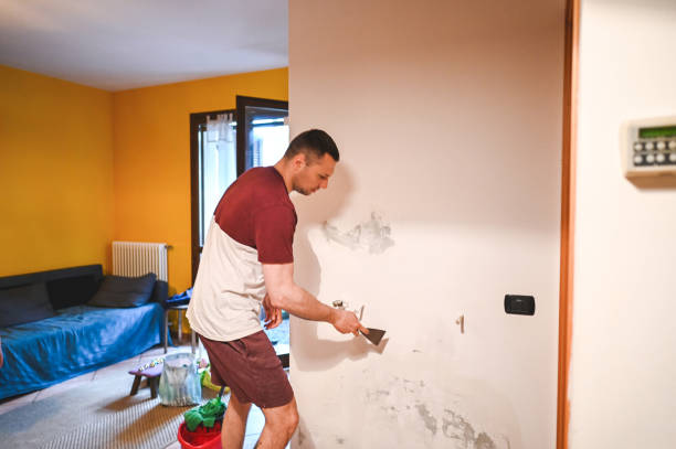 Crawl Space Mold Removal in Crookston, MN