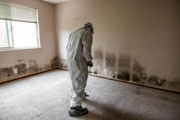 Best Crawl Space Mold Removal  in Crookston, MN